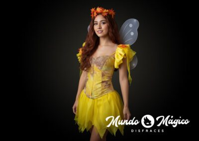 PC.H.269 Hada Amarilla TS M