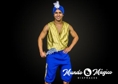 PC.AL.328 Aladino Dorado TM L