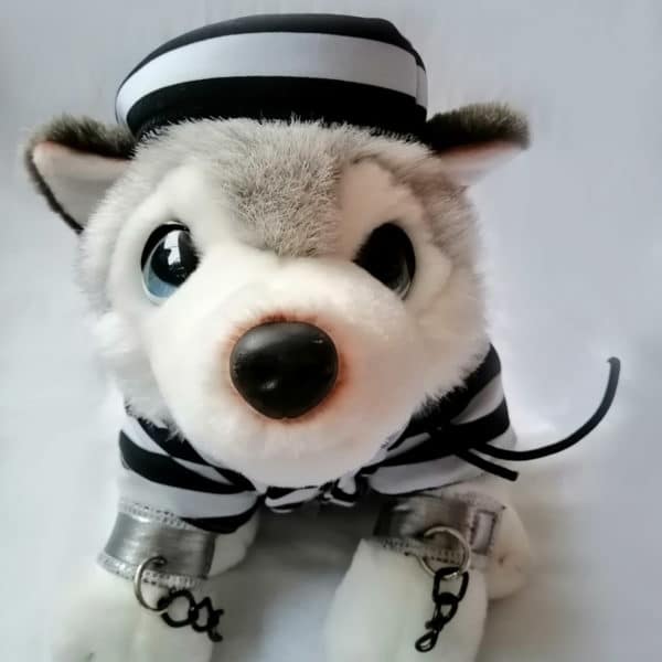 Disfraz perrito preso - Imagen 9