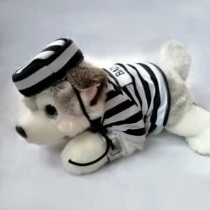 Disfraz perrito preso