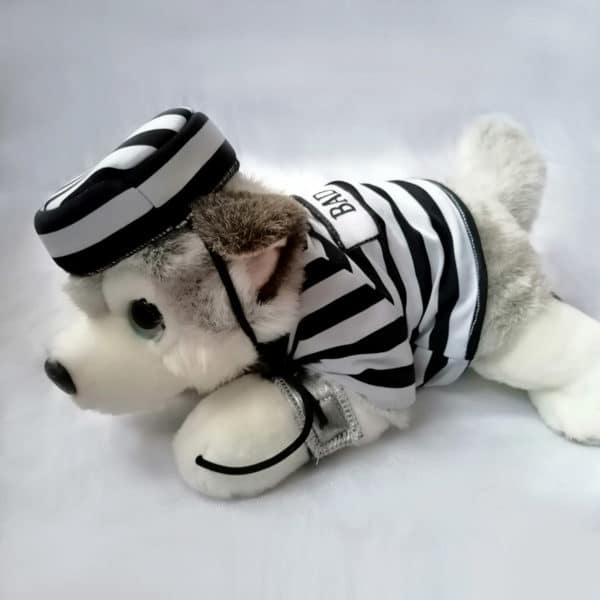 Disfraz perrito preso