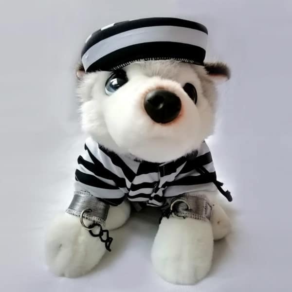 Disfraz perrito preso - Imagen 11