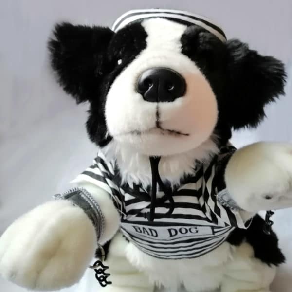 Disfraz perrito preso - Imagen 13