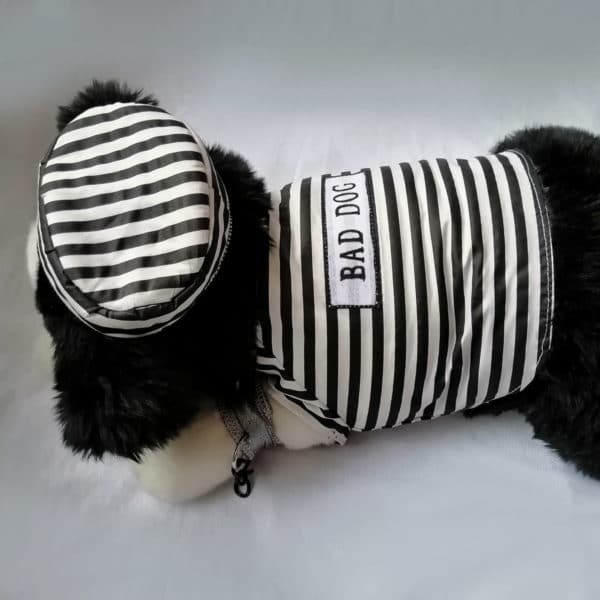 Disfraz perrito preso - Imagen 14