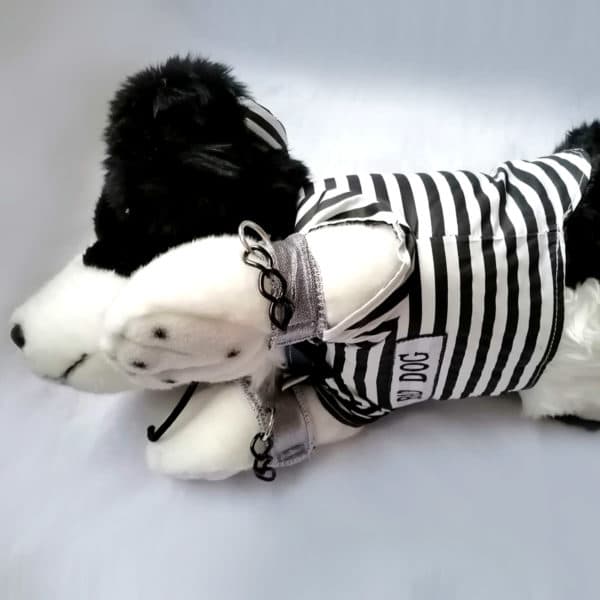Disfraz perrito preso - Imagen 15