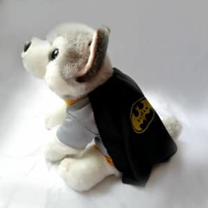Disfraz Batman perrito