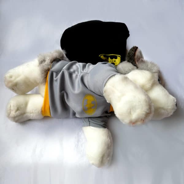 Disfraz Batman perrito - Imagen 5