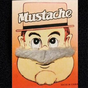 Bigote pequeño gris