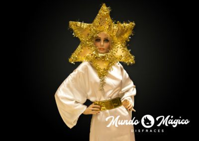 Estrella de Navidad
