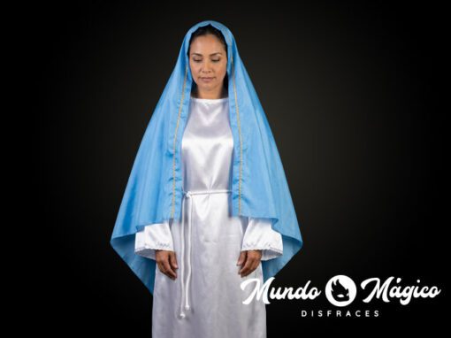 ARM.V.15 Virgen Manto Celeste TVarias ARM.V.15 Virgen Manto Celeste TVarias