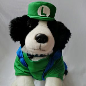 Disfraz perrito Luigi