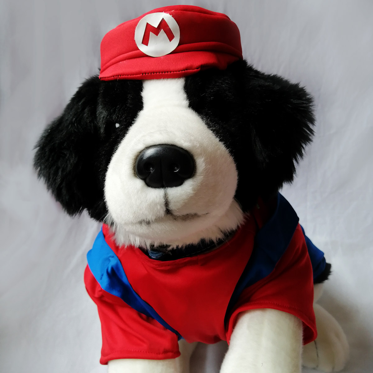 Tendero al revés parque Disfraz perrito Mario | Mundo Mágico Disfraces