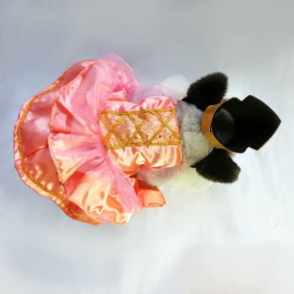 Disfraz princesa para perrita - Imagen 2