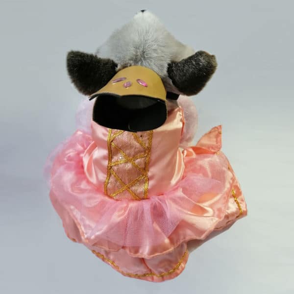 Disfraz princesa para perrita - Imagen 4