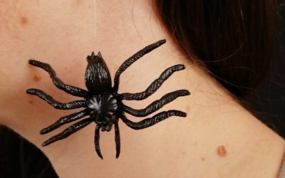 Arete araña grande