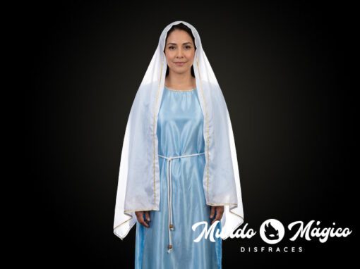 VI.2 VI.3 Virgen túnica azul TVarias