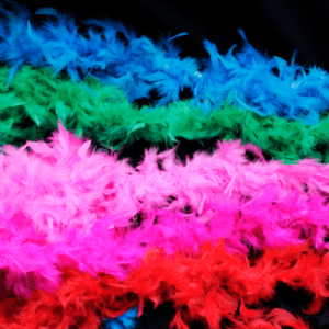 Estolas o boas de plumas