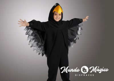 A.AG.29 Águila TVarias