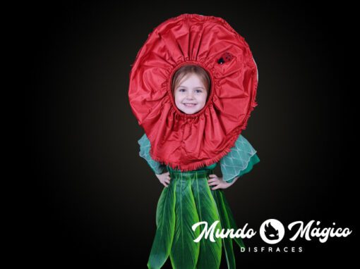 V.F.14 Clavel rojo T4-L