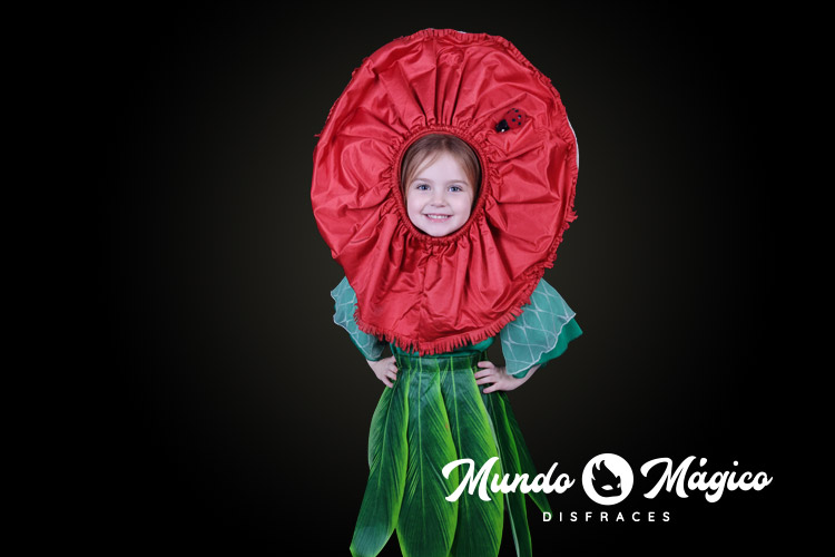 V.F.14 Flor clavel rojo T4-L