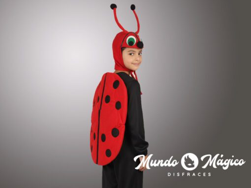 A.MAR.39 Mariquita T6