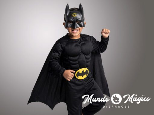 PC.BT.109 Batman T6