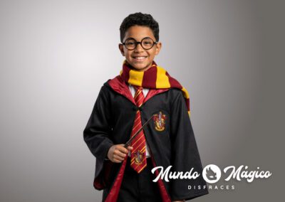 PC.HP.559 Harry Potter T10 12