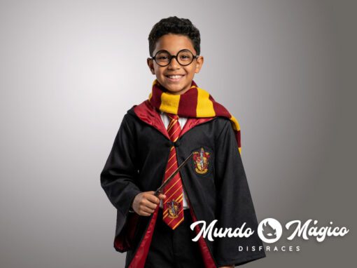 PC.HP.559 Harry Potter T10 12