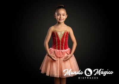 PC.B.39 Bailarina taxo adornos dorados stretch T4 6