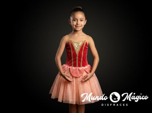 PC.B.39 Bailarina taxo adornos dorados stretch T4 6