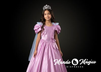 PC.PR.186 Princesa hada rosa T8 10