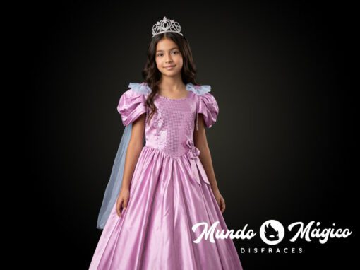 PC.PR.186 Princesa hada rosa T8 10