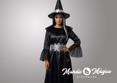 H.B.11 Bruja negro y plata TL