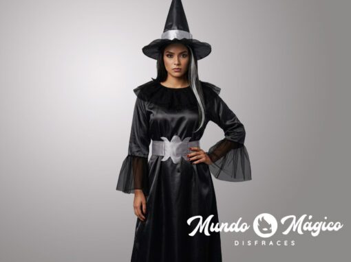 H.B.11 Bruja negro y plata TL H.B.11 Bruja negro y plata TL