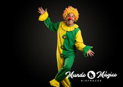 PA.20 Payaso verde con amarillo TL