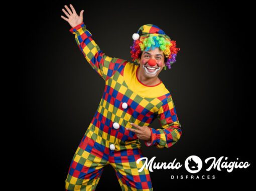 PA.24 Payaso cuadros TL PA.24 Payaso cuadros TL